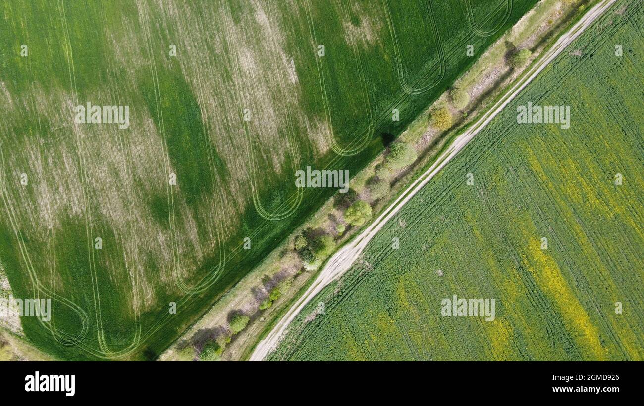 Unbefestigte Straße entlang des verlassenen Meliorationskanals. Landwirtschaftliche Flächen, Luftaufnahme. Stockfoto