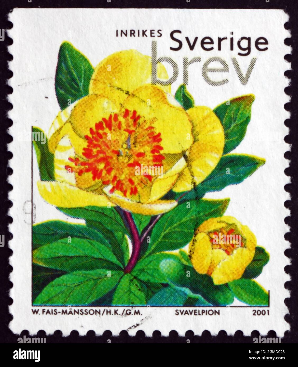 SCHWEDEN - UM 2001: Eine in Schweden gedruckte Marke zeigt Krautigen Pfingstrosen, Paeonia, Blumenpflanze, um 2001 Stockfoto