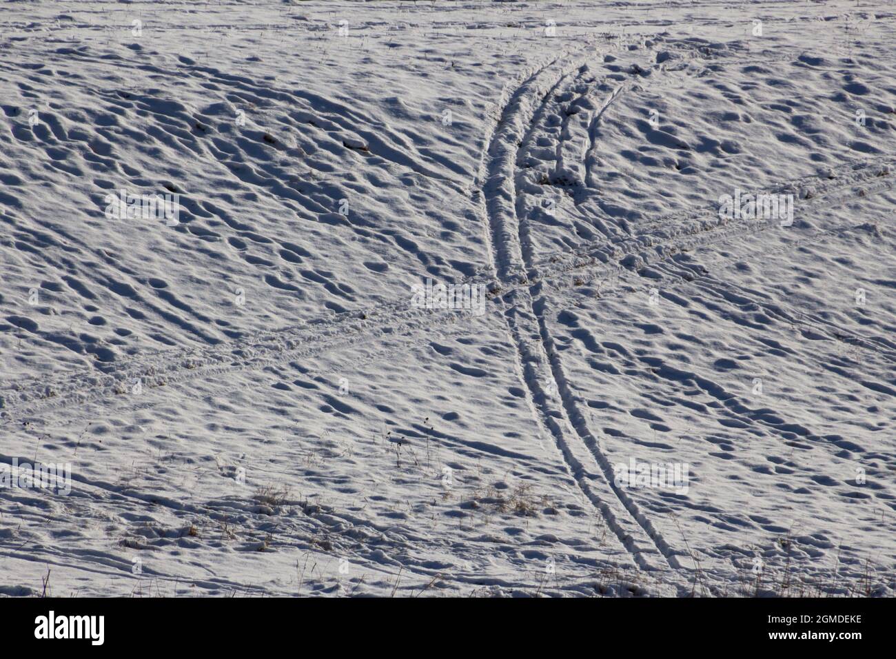 Viele Fußspuren, Ski- und Rodelbahnen auf einer Piste im Schnee Stockfoto