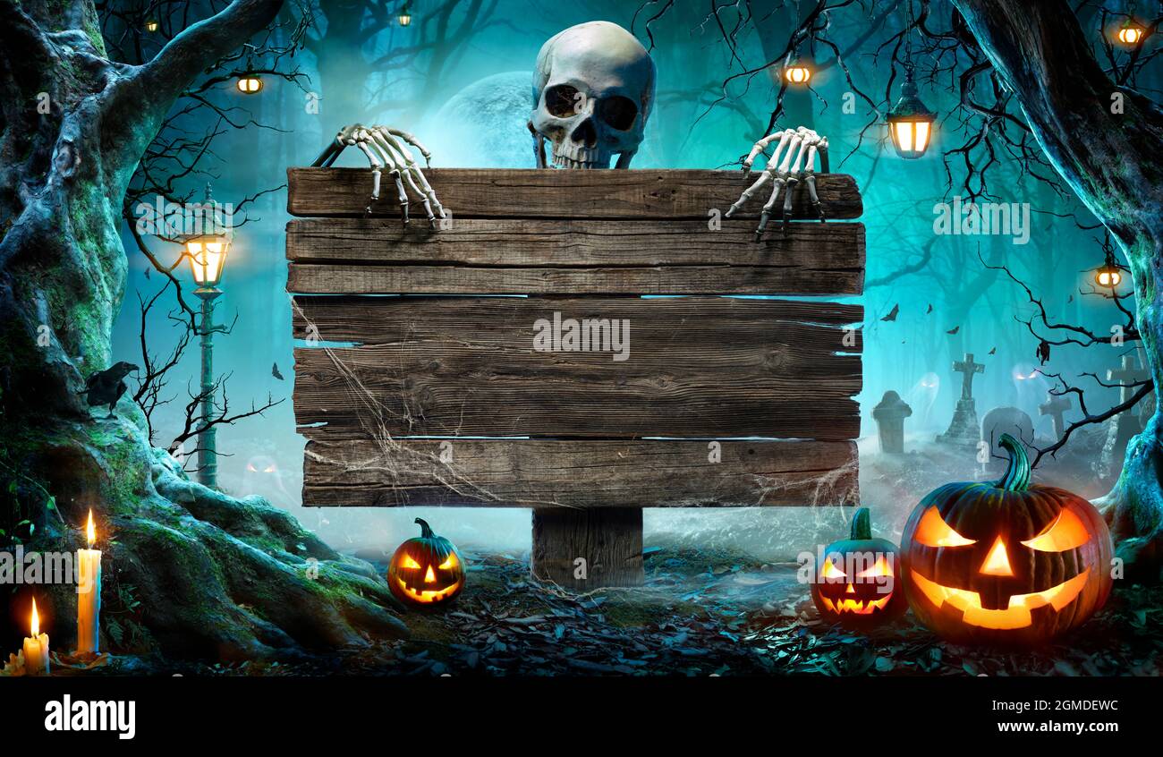 MEHOFOND Halloween-Hintergrund, 210x150 Cm – Grusel-Design Mit Kürbissen, Skeletten & Spinnen Für Fotoshootings & Partys