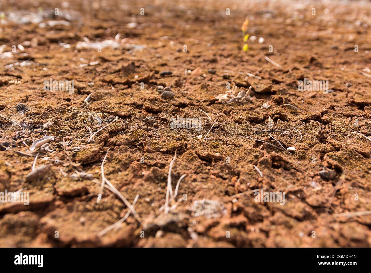 Dürres Land, das durch Dürre geknackt wurde Stockfoto