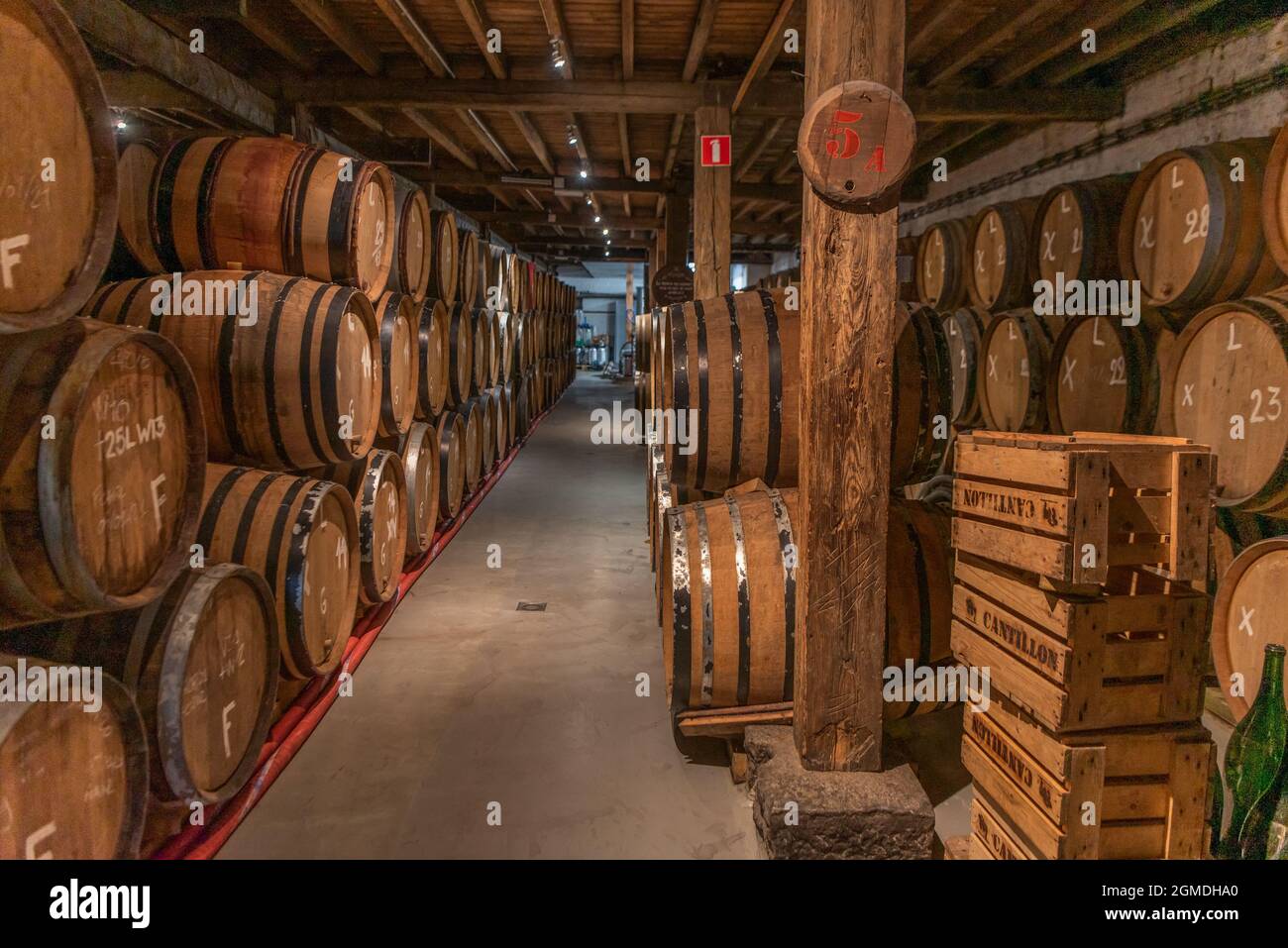 Brasserie Cantillon, Musée de la Gueuze, Brüssel, Belgien Stockfoto