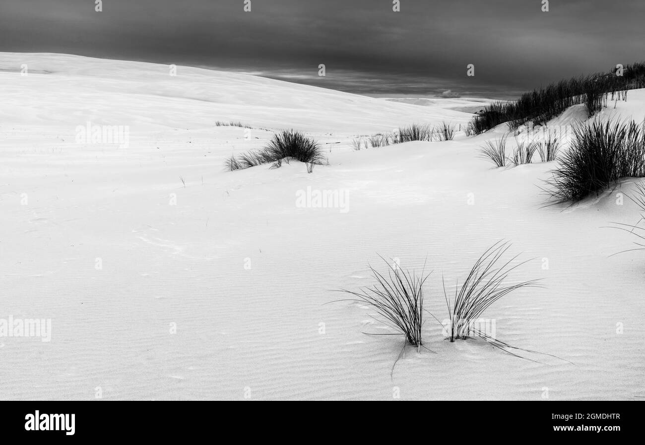 Blick auf endlos wandernde Sanddünen im Slowinski Nationalpark an der Ostsee im Norden Polens Stockfoto