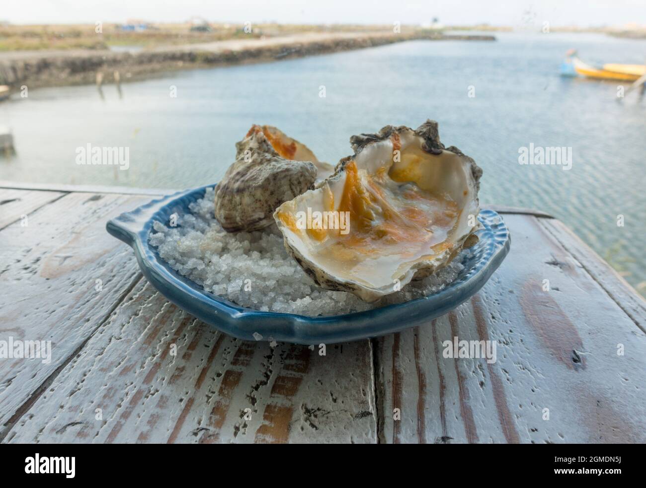 Austern werden in einem Restaurant in Aveiro neben den Salzwiesen in Portugal serviert. Stockfoto