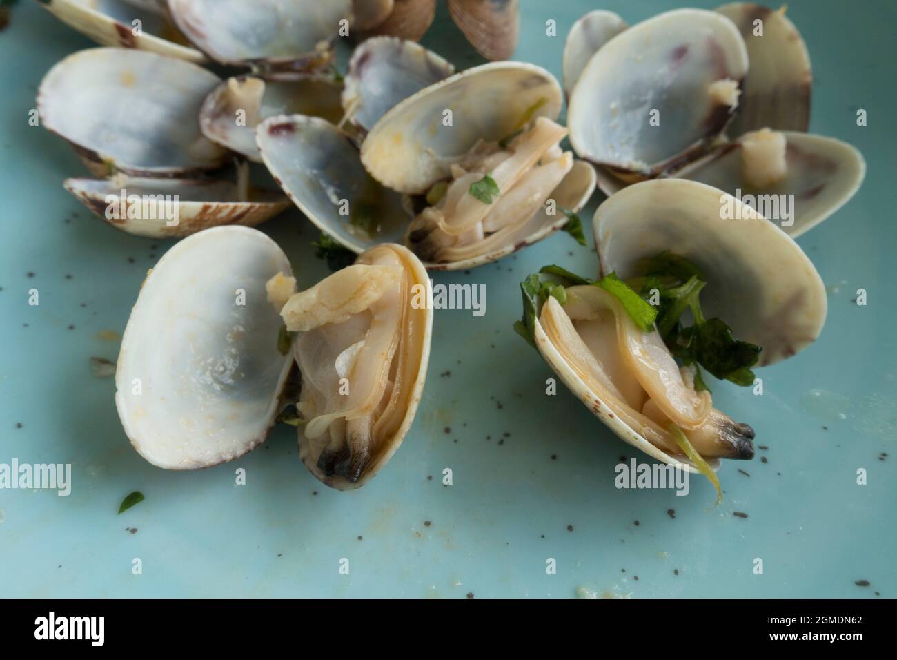 In einem Restaurant in Portugal werden frische Muscheln auf einem Teller serviert Stockfoto