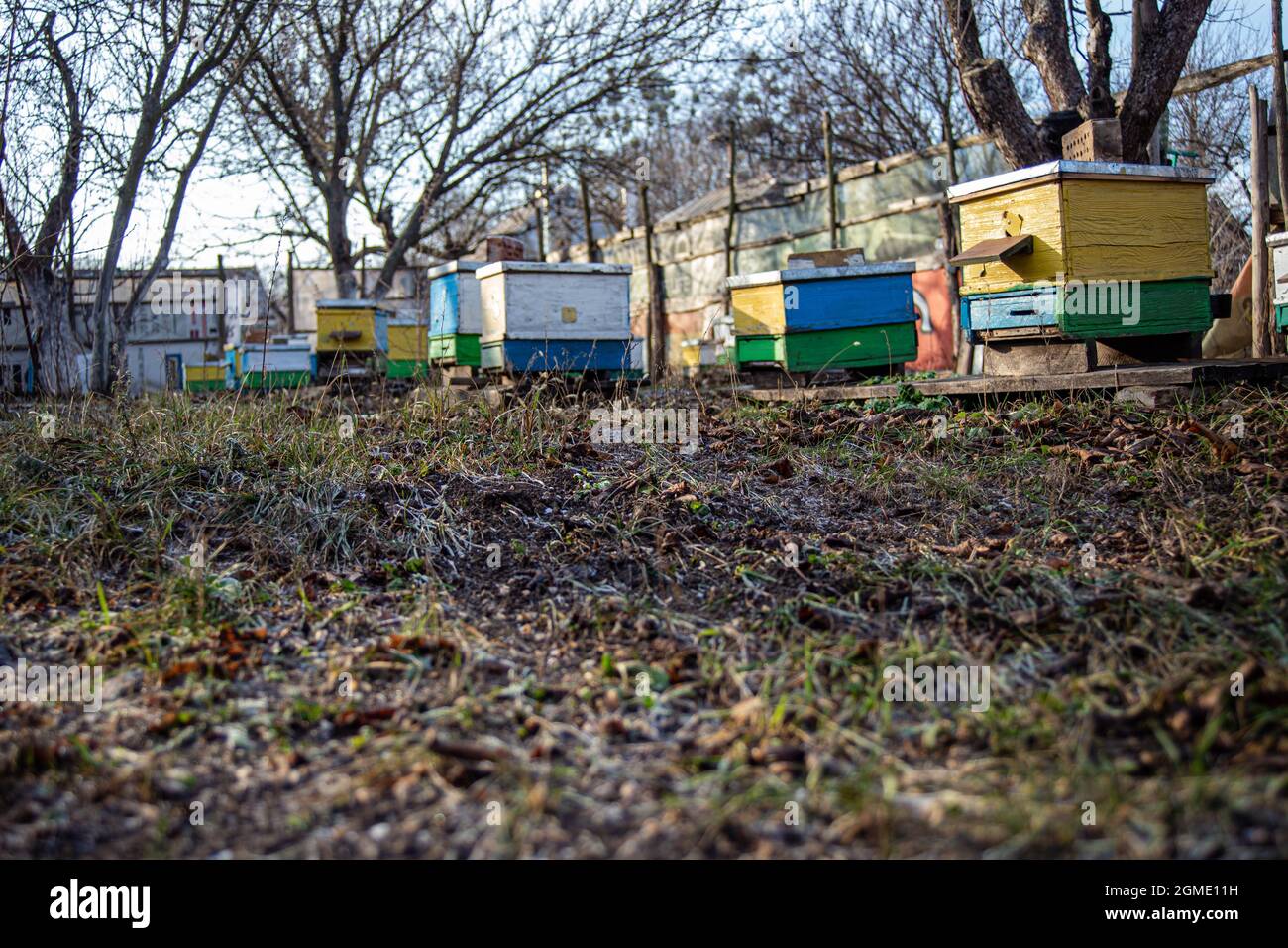 Großes Bienenhaus mit vielen der Bienenstöcke im Garten Blick von oben