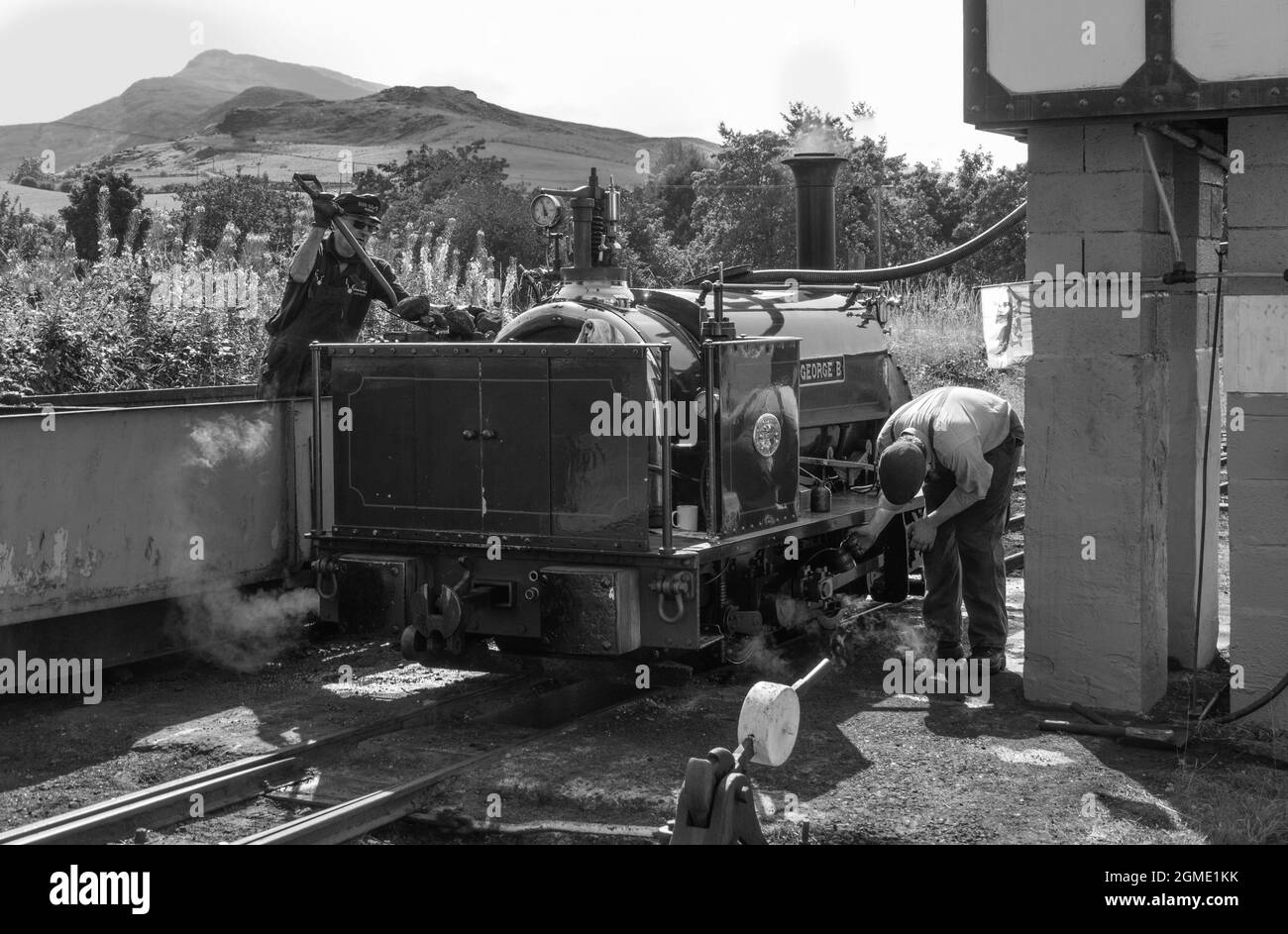 Schaufeln von Kohle auf den Motor bei Bala Lake Railway, Gwynedd, Wales. Die Bala Lake Railway ist eine Schmalspurbahn Stockfoto