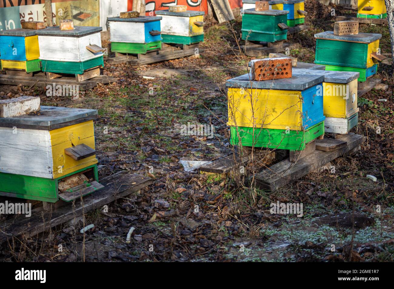 Großes Bienenhaus mit vielen der Bienenstöcke im Garten Blick von oben