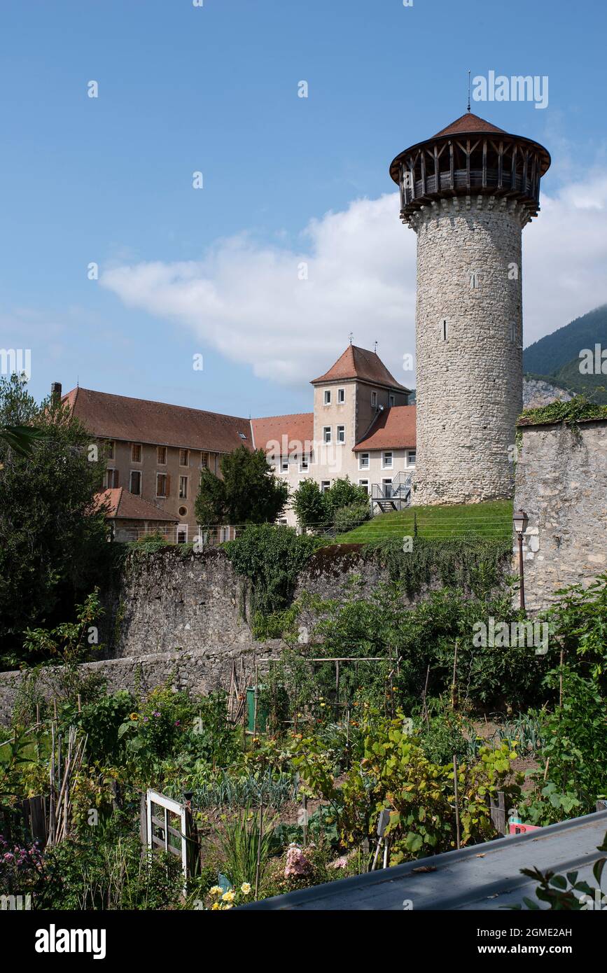 Gemüsegarten in einem Hausgarten mit Gemüse Stockfoto