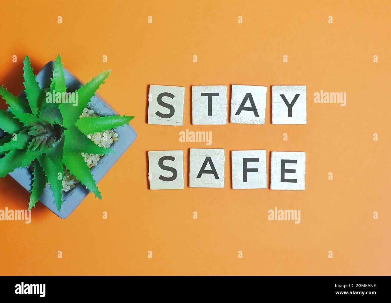 Draufsicht auf Holzwürfel und Pflanze auf orangefarbenem Hintergrund mit Text SICHER BLEIBEN. Stockfoto