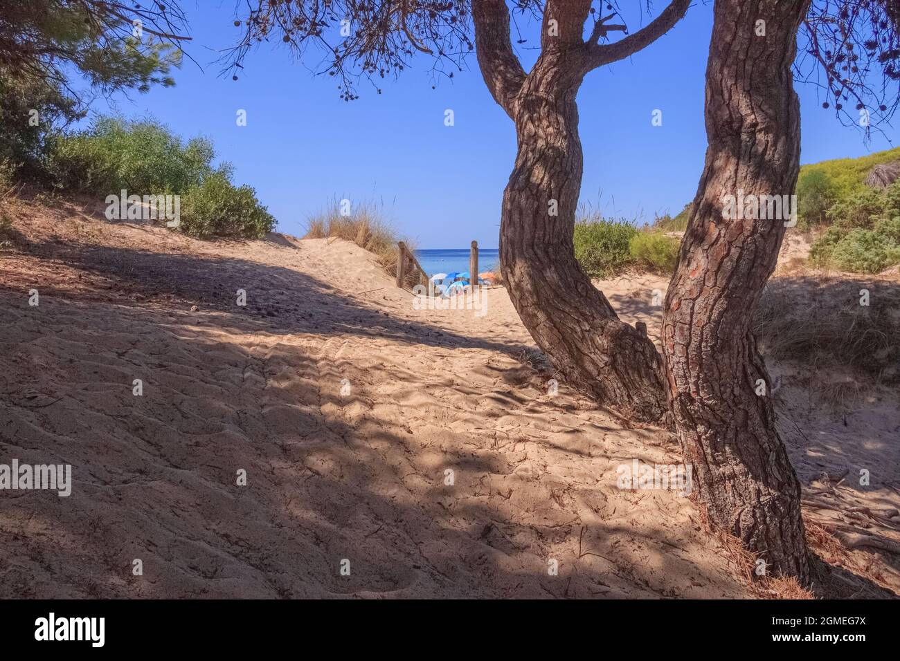 Die schönsten Strände Italiens: Punta Prosciutto in Apulien. Die Küste ist ein Paradies im Herzen des Salento. Stockfoto