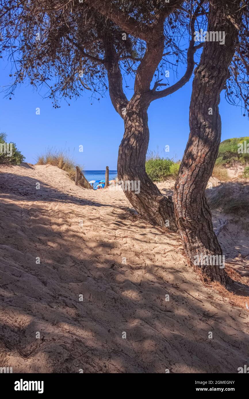 Die schönsten Strände Italiens: Punta Prosciutto in Apulien. Die Küste ist ein Paradies im Herzen des Salento. Stockfoto