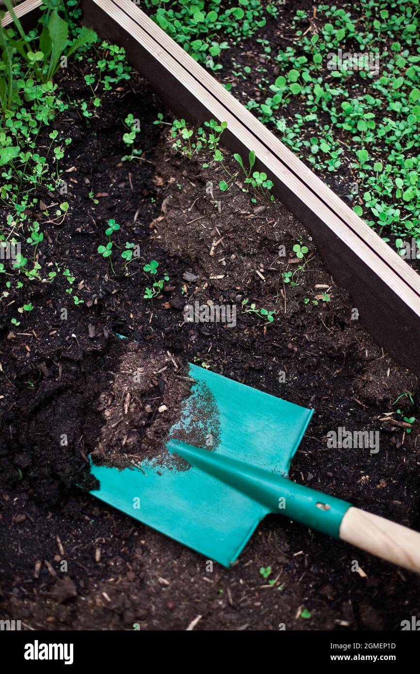 Gartenschaufel und Blumenerde in einem Holzbehälter Stockfoto