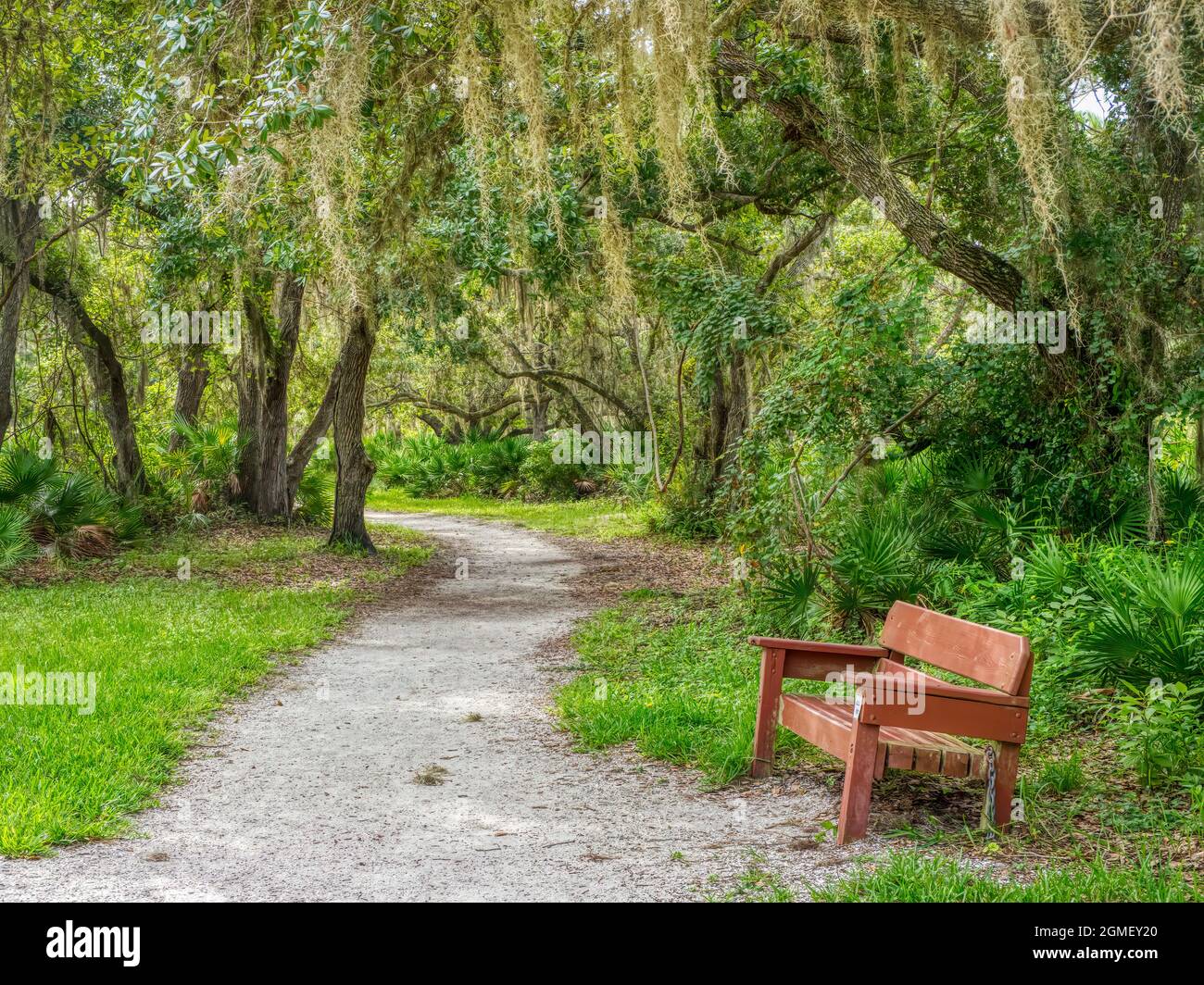 Wanderweg im Lemon Bay Park und Umweltzentrum in Englewood an der Golfküste von Florida USA Stockfoto
