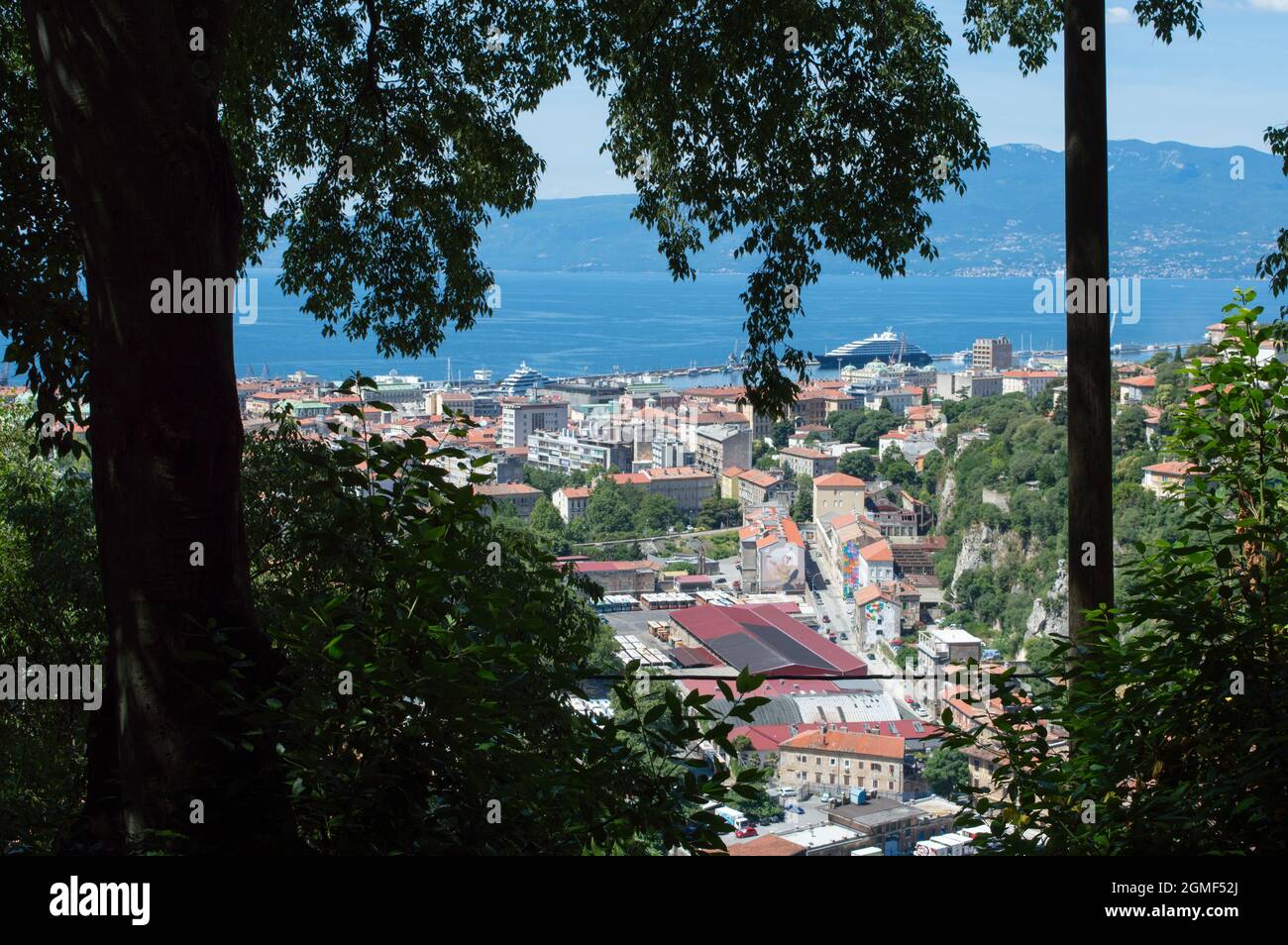 Rijeka, Kroatien, ein Panoramablick über die Stadt, schöne Adria und Ucka Berge, ein Blick durch einen Baum, celtis australis Stockfoto