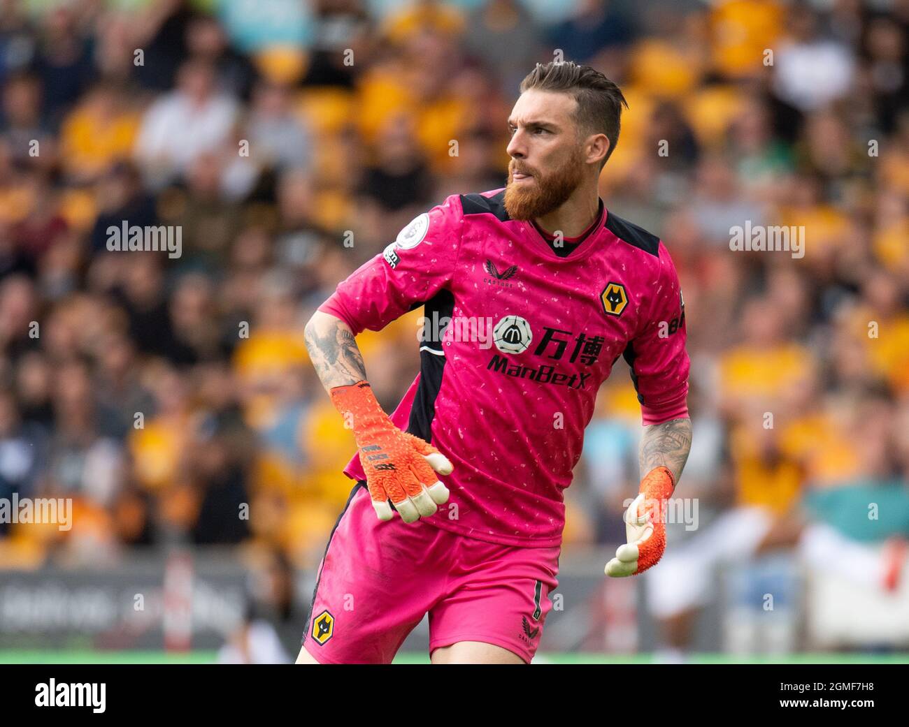 Wolverhampton, Großbritannien. September 2021. Wolverhampton-Torwart Jose Sa während des Premier League-Spiels zwischen Wolverhampton Wanderers und Brentford am 18. September 2021 in Molineux, Wolverhampton, England. Foto von Andrew Aleksiejczuk/Prime Media Images. Quelle: Prime Media Images/Alamy Live News Stockfoto