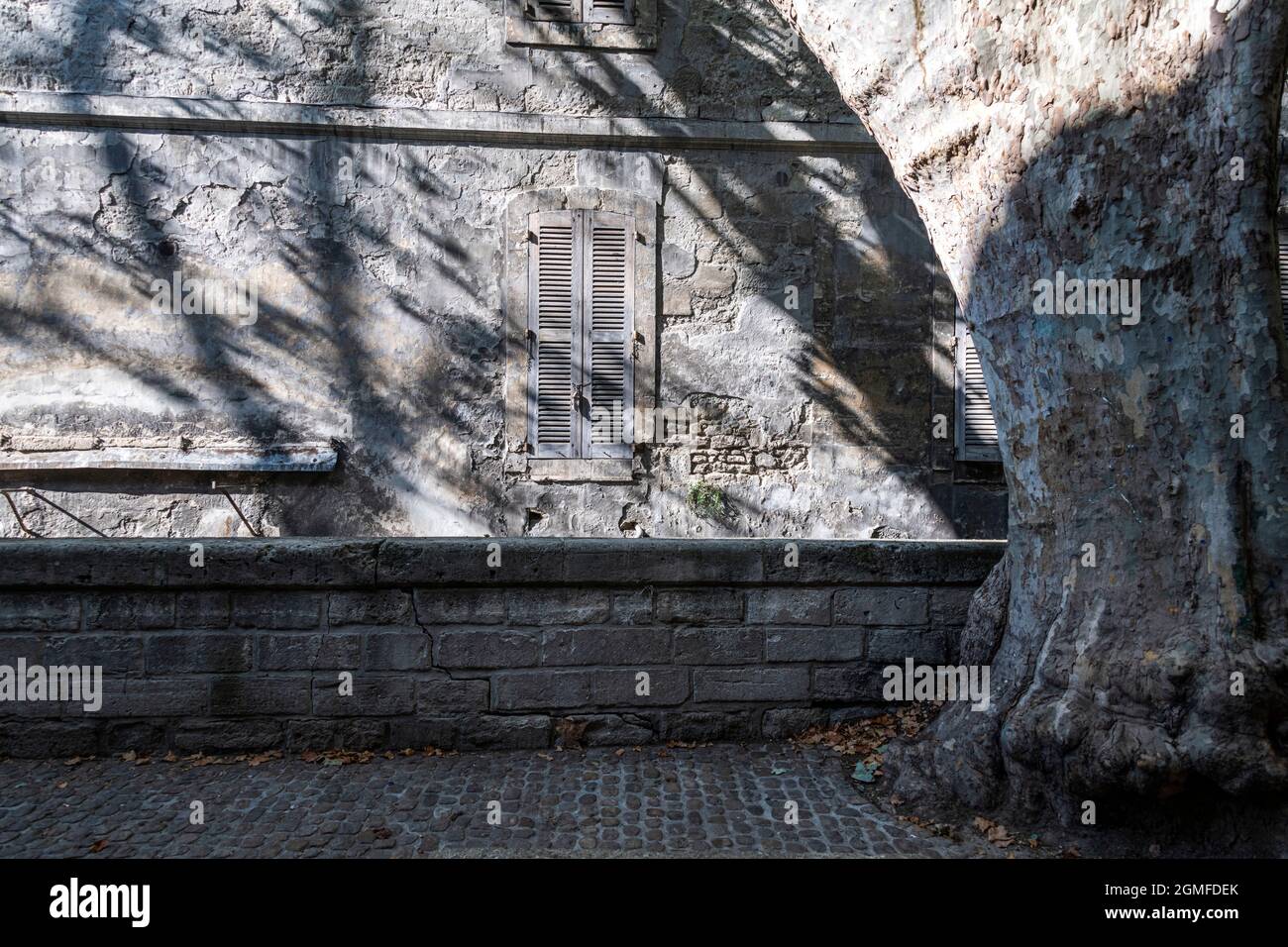 Ein verschloßtes Fenster, das in Sonnenlicht getaucht ist, Rue des Teinturiers, Avignon, Frankreich. Stockfoto