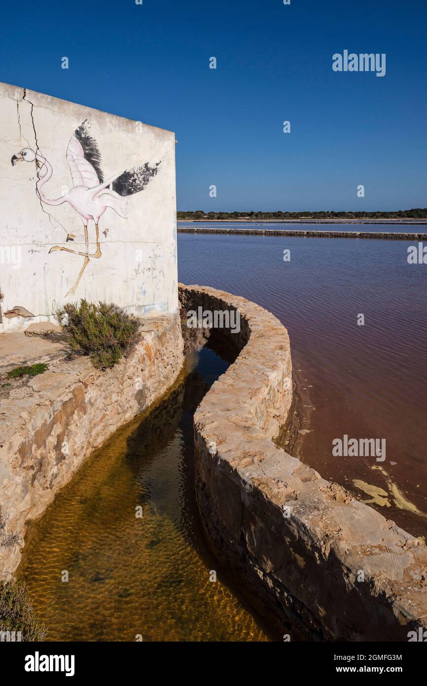 SES Salines dEivissa i Formentera Natural Park, Formentera, Pitiusas-Inseln, Balearen, Spanien. Stockfoto