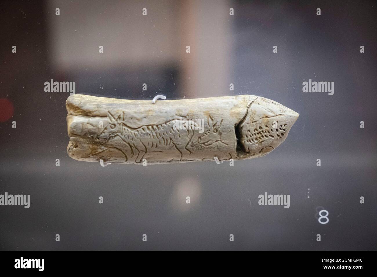 Zwei Hirsche auf Rentiergeweih, oberpaläolithische Magdalena, Museo de la evolución humana, MEH, Burgos , Spanien. Stockfoto