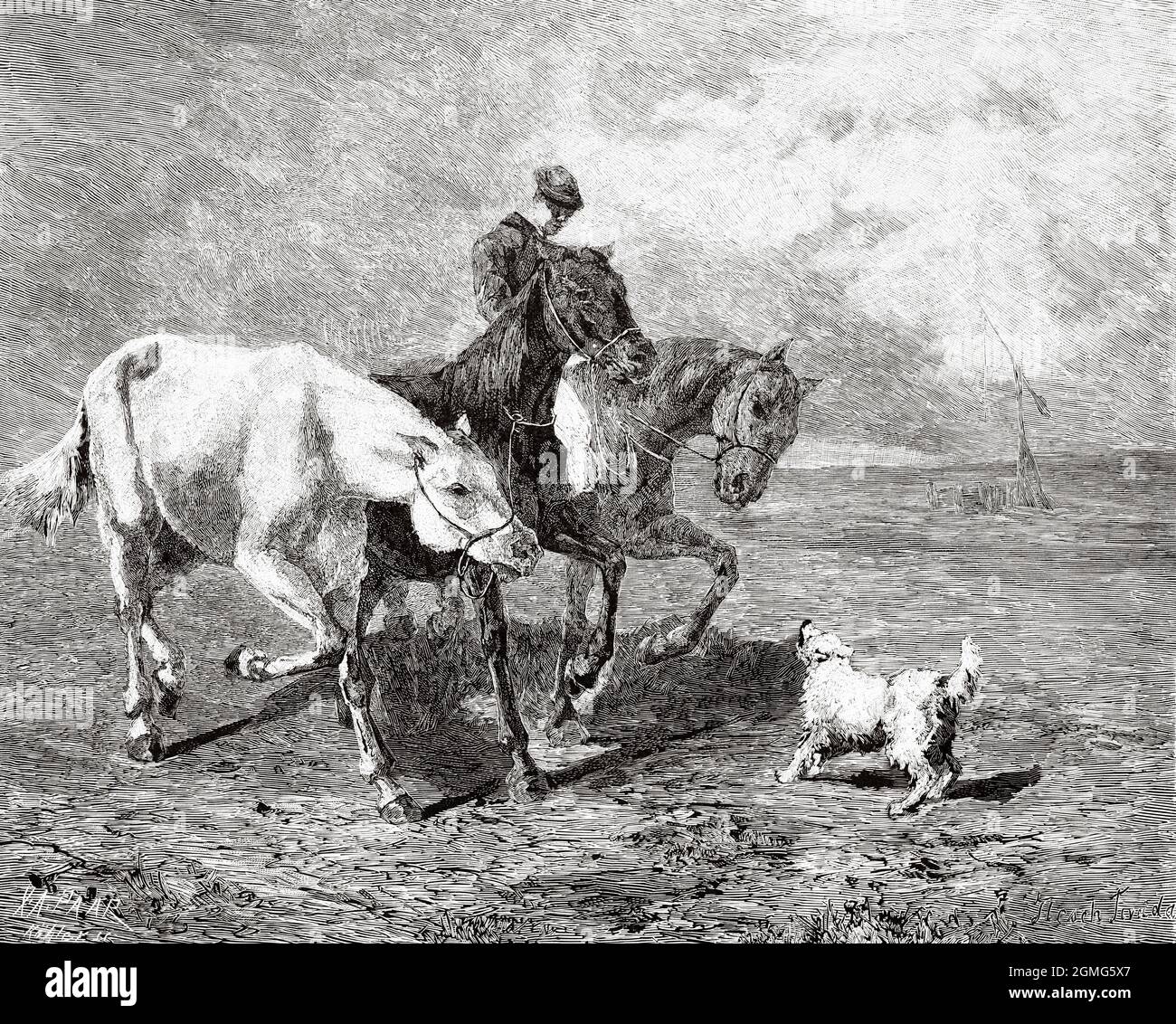 Pferde in der Steppe, Gemälde von T Flesch. Alte, gravierte Illustration aus dem 19. Jahrhundert von La Ilustración Artística 1882 Stockfoto