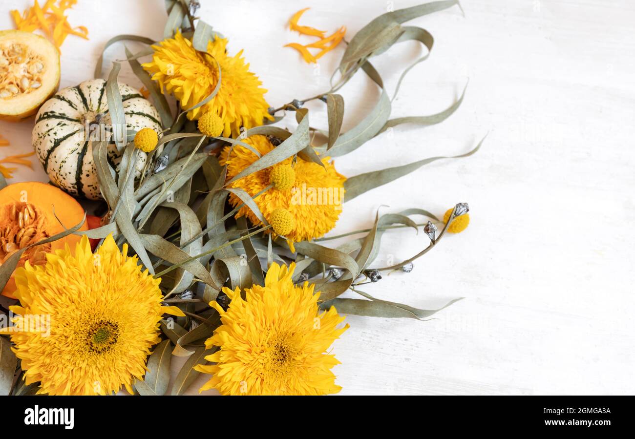 Festliches Herbstdekor aus Kürbissen und Blumen auf weißem Hintergrund, Kopierfläche. Konzept des Erntedankfestes oder Halloween. Stockfoto