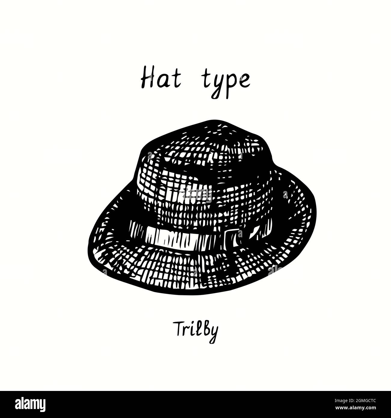 Huttyp, Trilby. Tusche schwarz-weiß Zeichnung Umriss Illustration Stockfoto