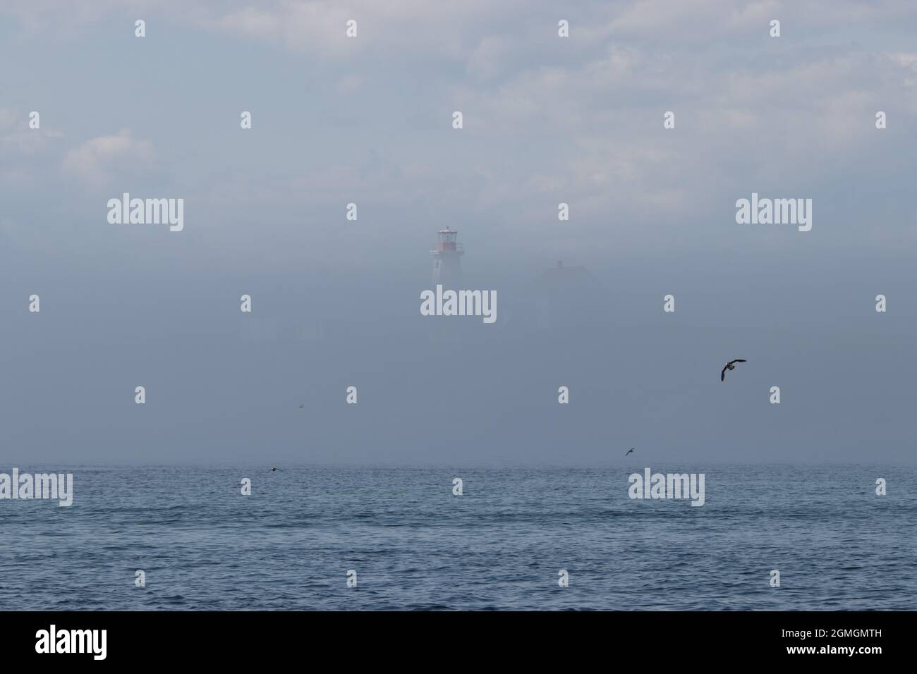 Kanada, Québec, Réserve de Parc national de l'Archipel-de-Mingan. PHARE sur l'ile aux Perroquets Stockfoto