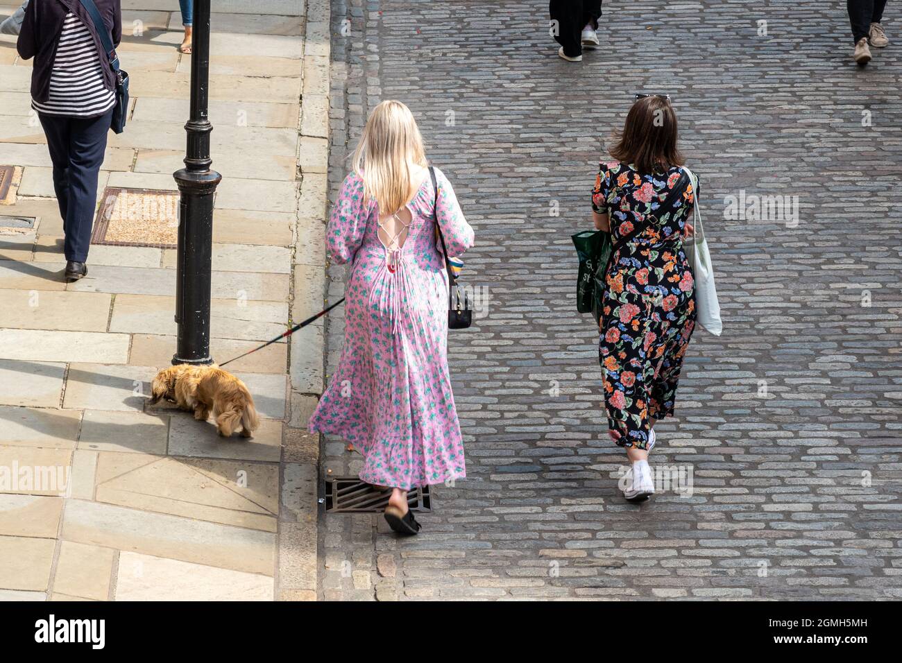 Zwei modische junge Frauen, eine mit einem kleinen Hund an der Leine, die eine gepflasterte Straße entlang gehen, High Street, Stadtzentrum von Guildford, Surrey, Großbritannien Stockfoto