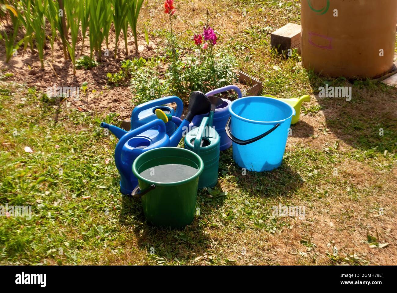 Plastikeimer und Gießkannen im Garten, im Sommer Stockfoto