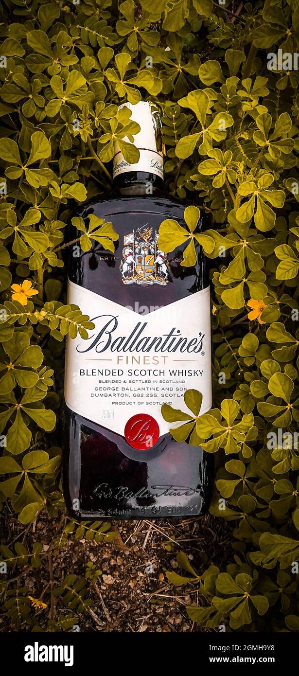 Drinks Magic Moment & Whiskey Stockfoto