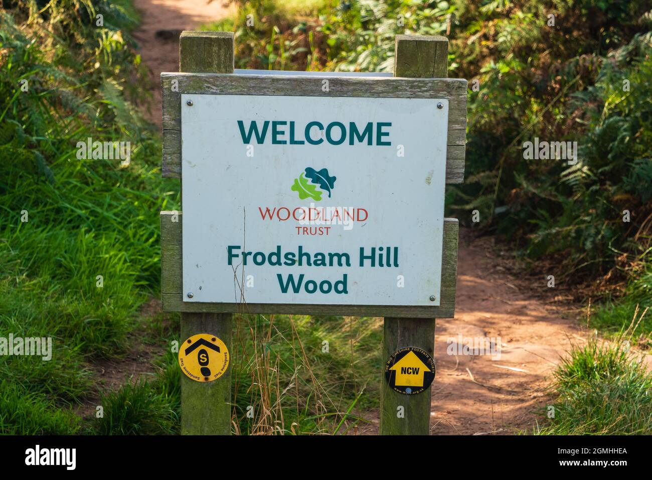 Genießen Sie einen atemberaubenden Panoramablick vom felsigen Gipfel des Helsby Hill mit seinen alten Verteidigungsmauern, bevor Sie das Tal zu den gestörten Stadtmauern überqueren Stockfoto