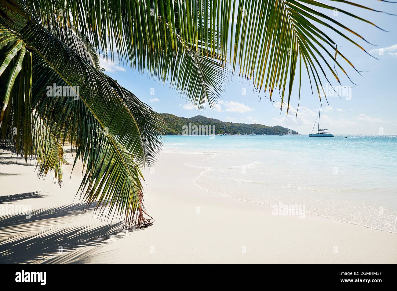 Palmenblätter am wunderschönen weißen Sandstrand mit türkisfarbenem Meer. Anse Lazio auf den Seychellen. Stockfoto