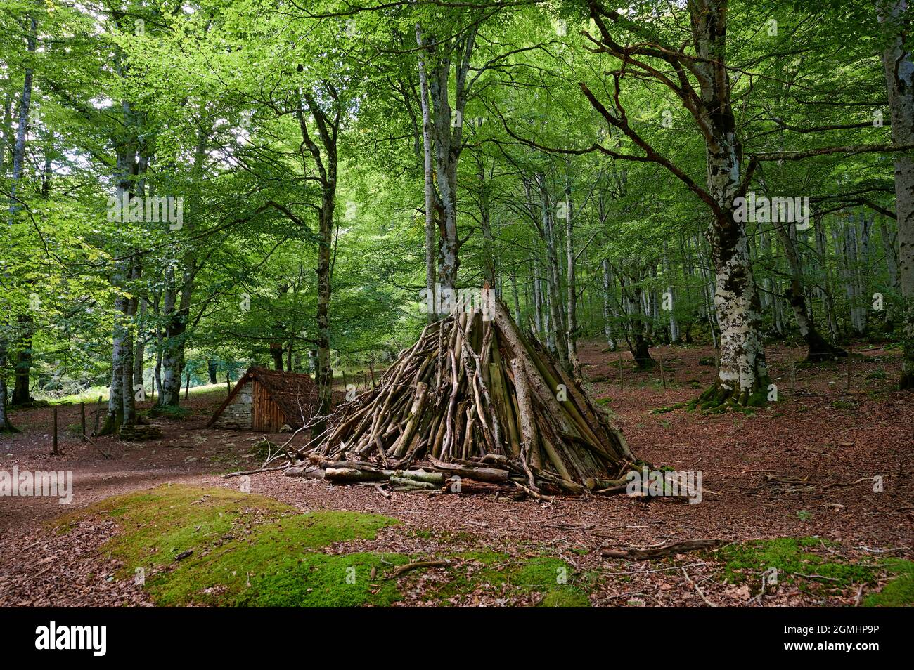 Alte Schäferhütte in der Sierra de Urbasa, Navarra, Spanien, Europa Stockfoto