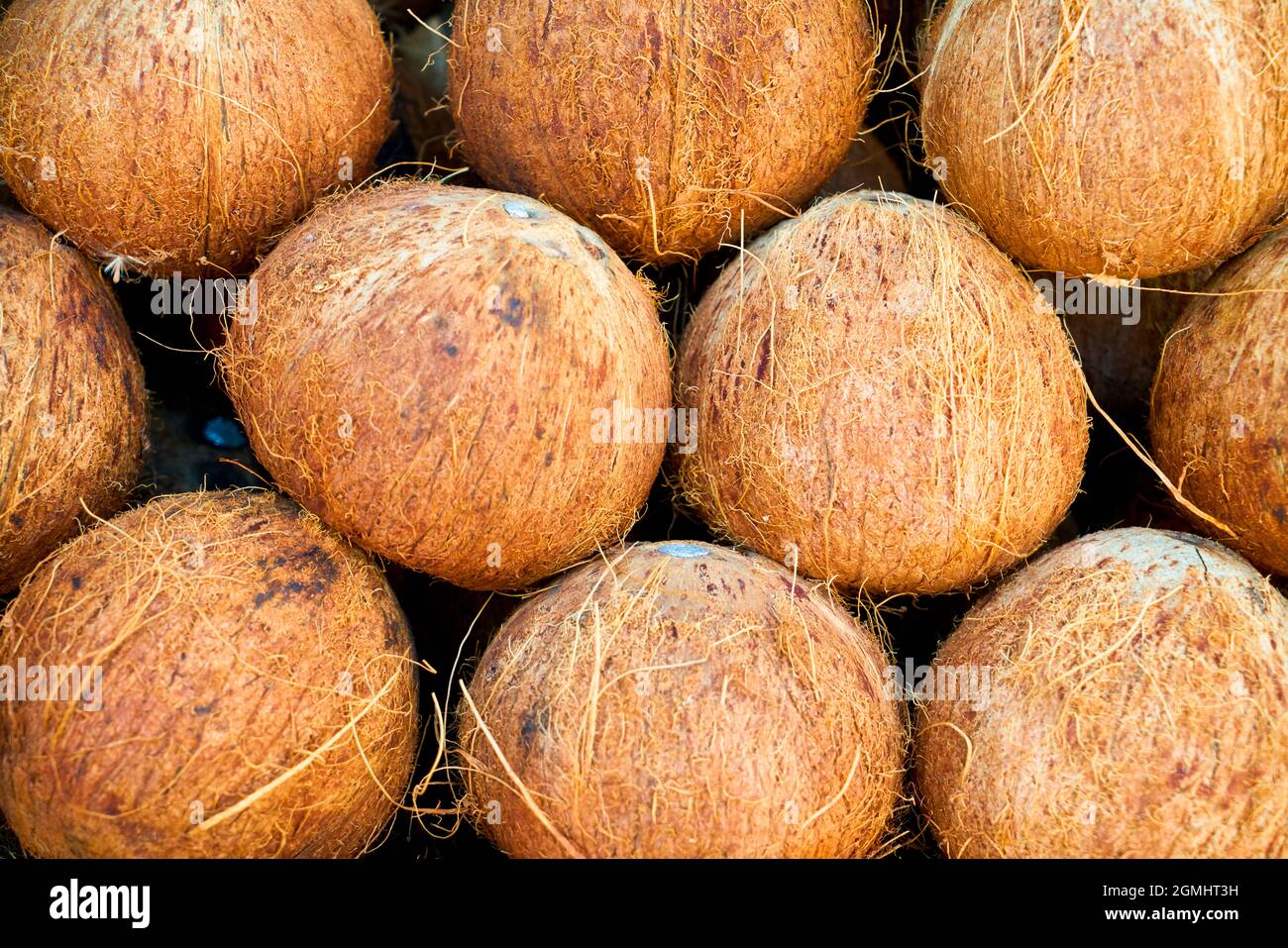 Set von natürlichen Kokosnüssen auf dem Markt zum Verkauf angezeigt Stockfoto