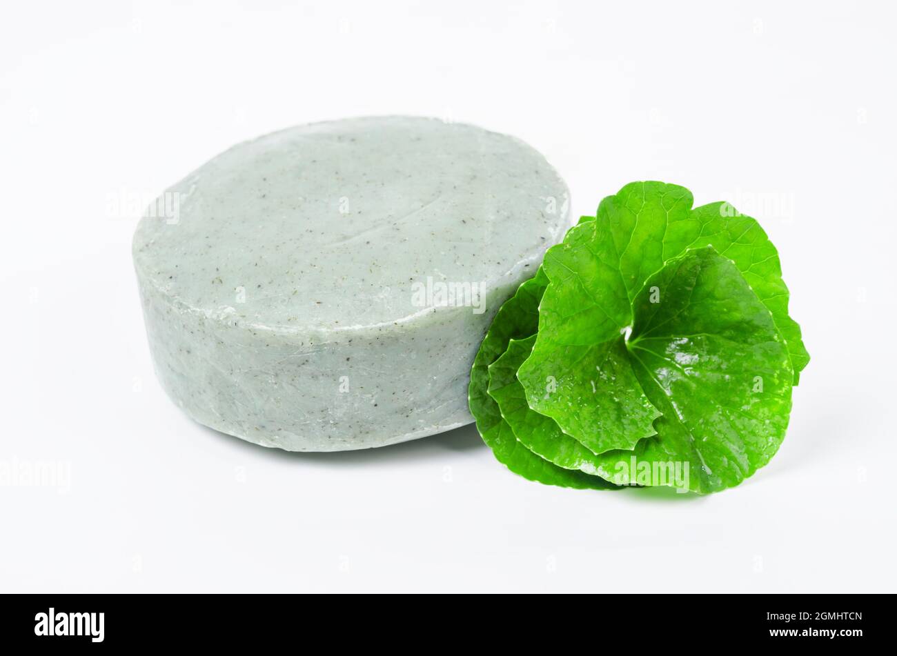 Seife centella asiatice mit frischem Grün Blatt centella auf weißem Hintergrund. Stockfoto