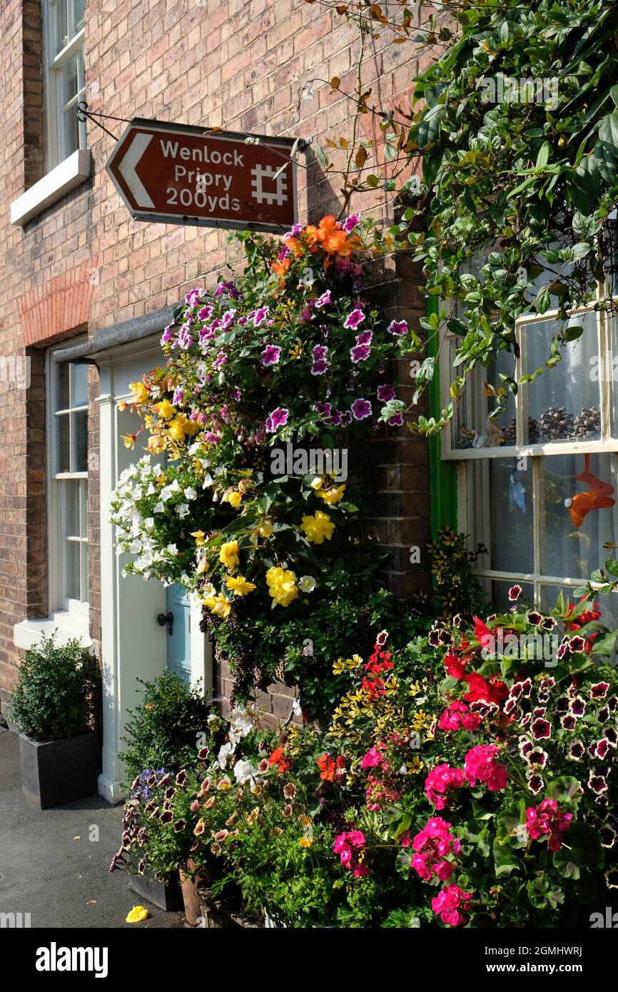 Hübsches Ferienhaus mit Blumenausstellungen in Wenlock, Shropshire, England, Großbritannien Stockfoto
