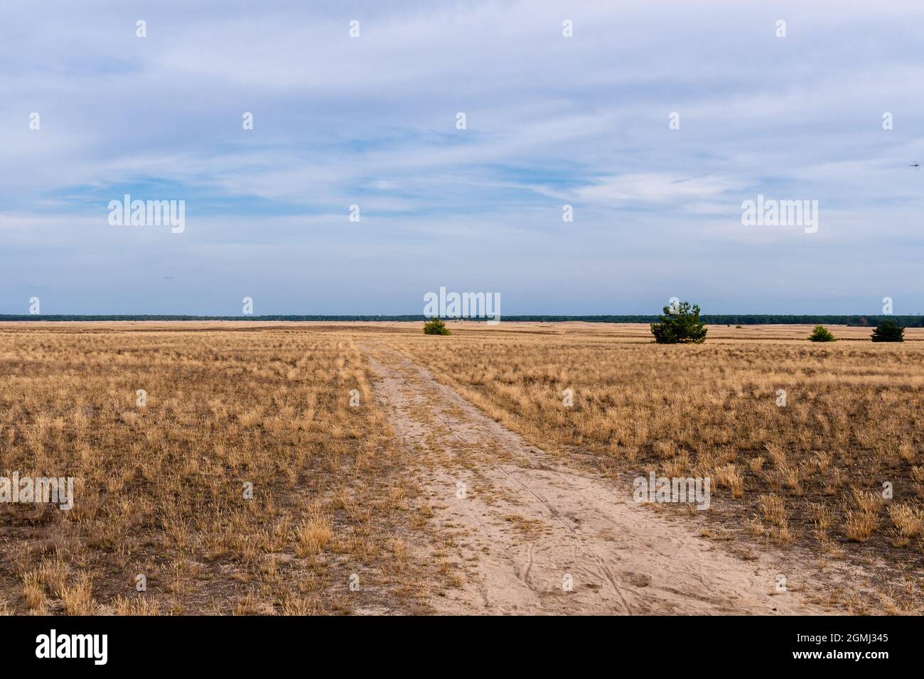 Lieberose, die größte Wüste Deutschlands, im Spreewald bei Cottbus im Land Brandenburg Stockfoto