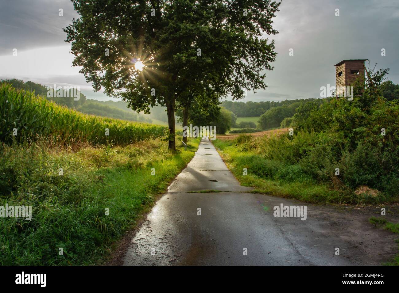 Landcsape entlang der innerdeutschen Grenze Stockfoto