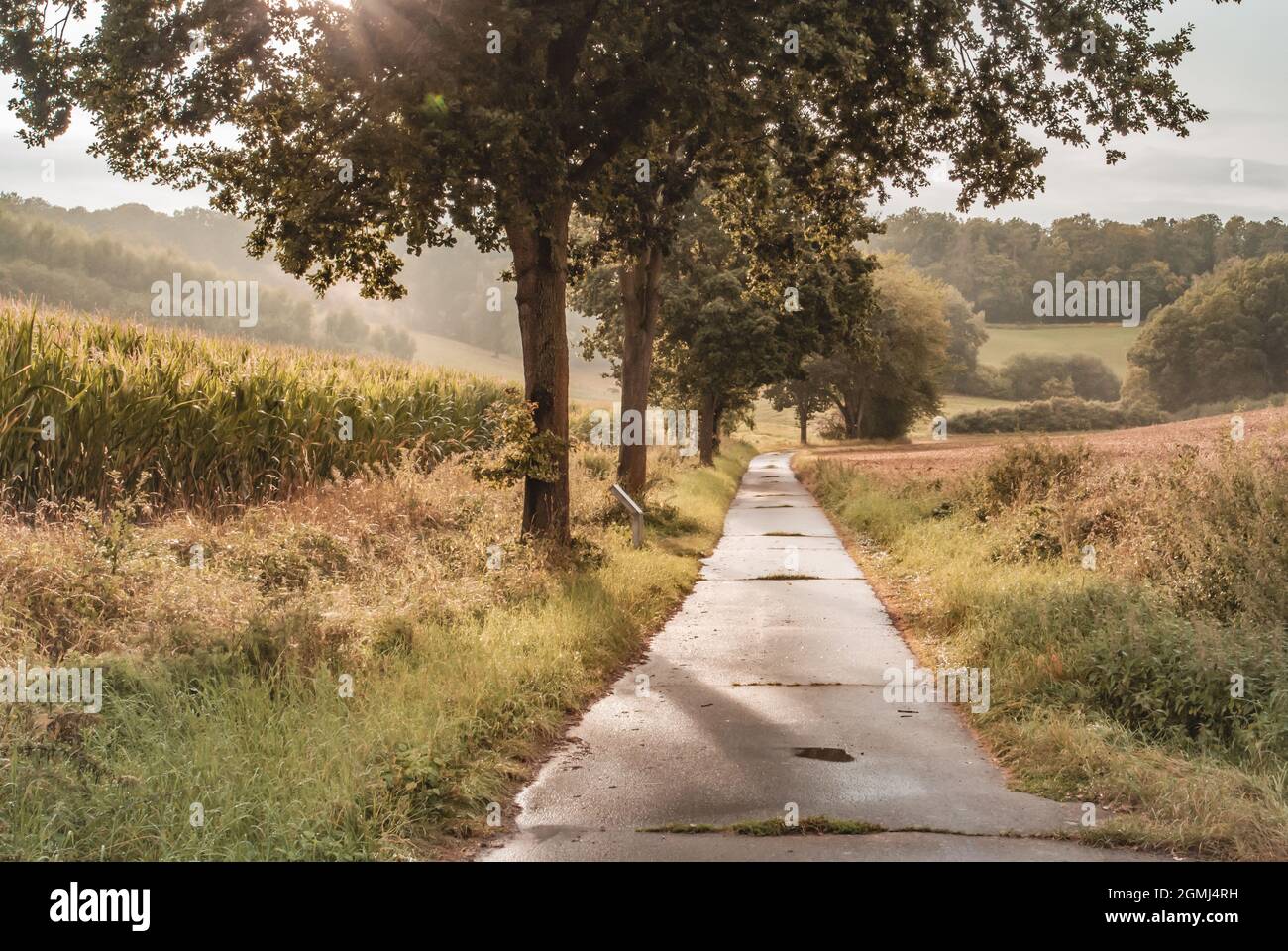 Landcsape entlang der innerdeutschen Grenze Stockfoto