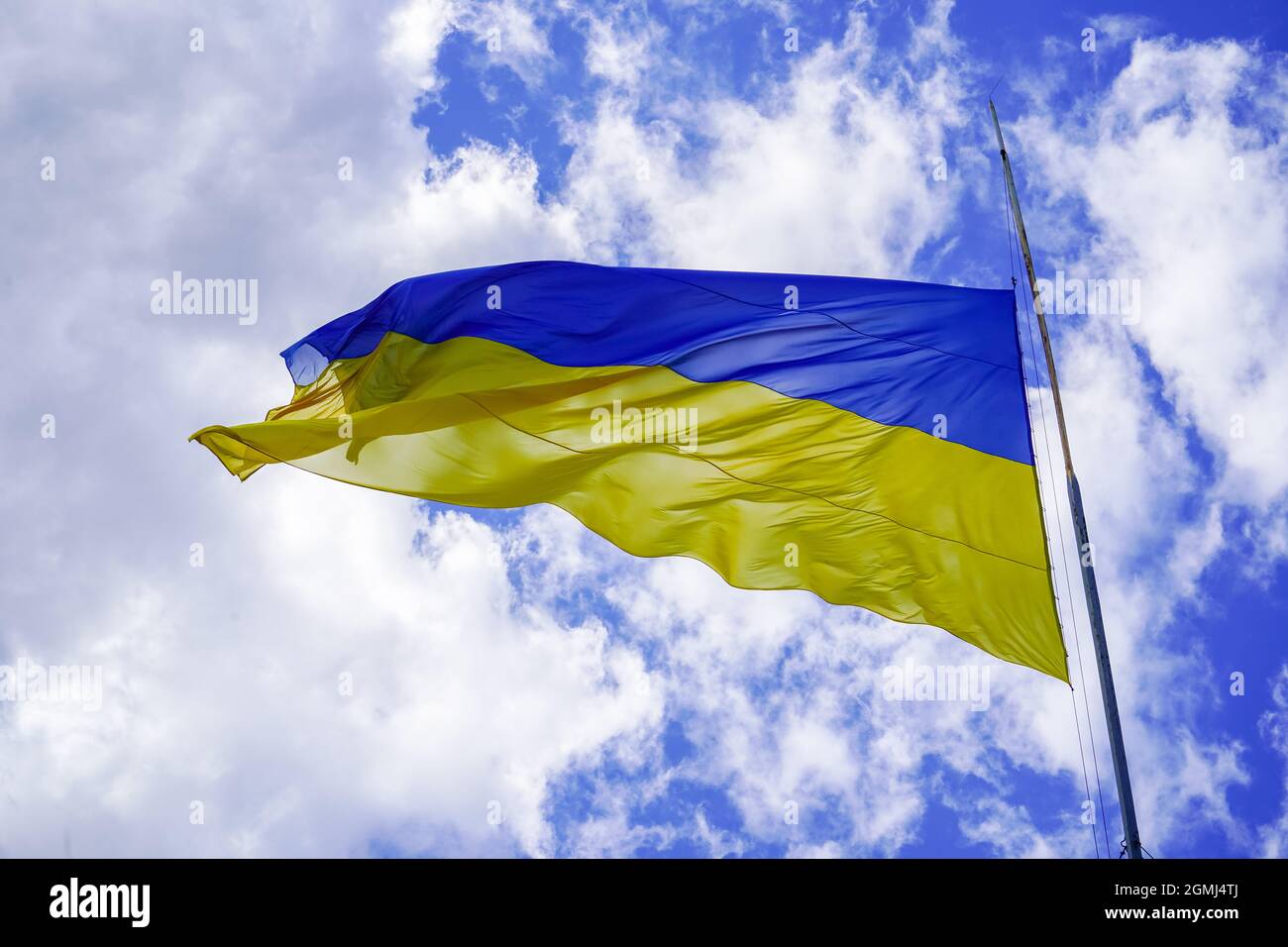 Die gelb-blaue Flagge der Ukraine flattert gegen den blauen Himmel. Ukrainisches Symbol. Eine große Fahne auf einem Fahnenmast flattert im Wind Stockfoto