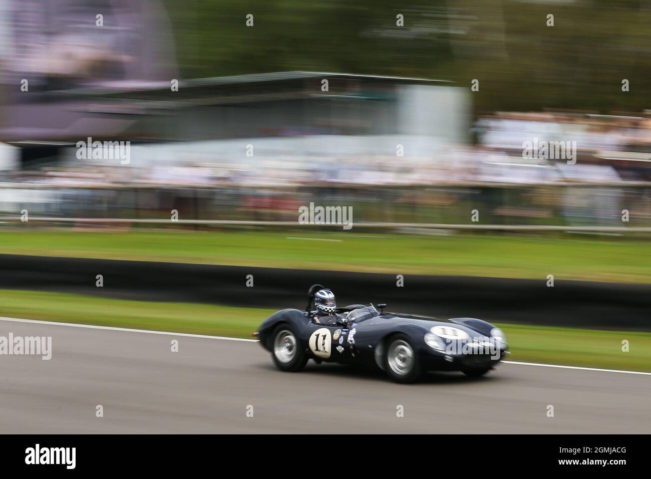 Goodwood Motor Circuit 17. September 2021. #11 Frederic Wakeman, 1955 Cooper-Jaguar T38, Sussex Trophy, während des Goodwood Revival Goodwood, Chichester, Großbritannien Stockfoto