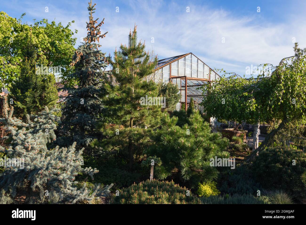 Anbau verschiedener Pflanzen in alten Glasgewächshäusern Stockfoto