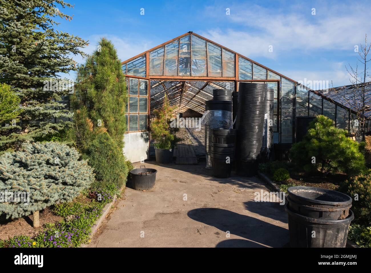 Anbau verschiedener Pflanzen in alten Glasgewächshäusern Stockfoto