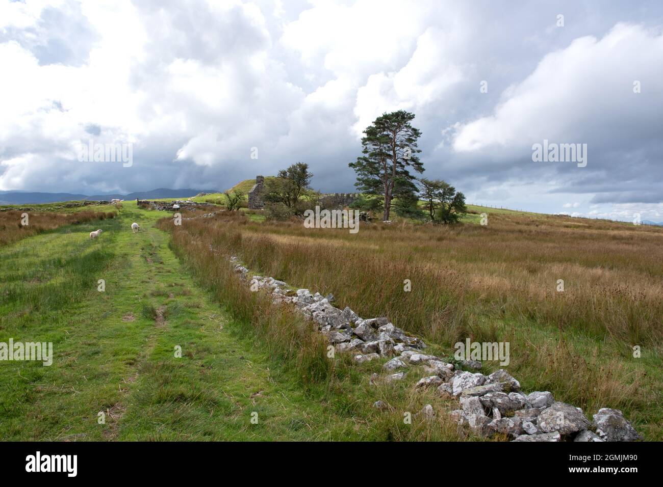 Tomen y Mur Standort der römischen Festung in Nord-Wales die Römische Straße Stockfoto