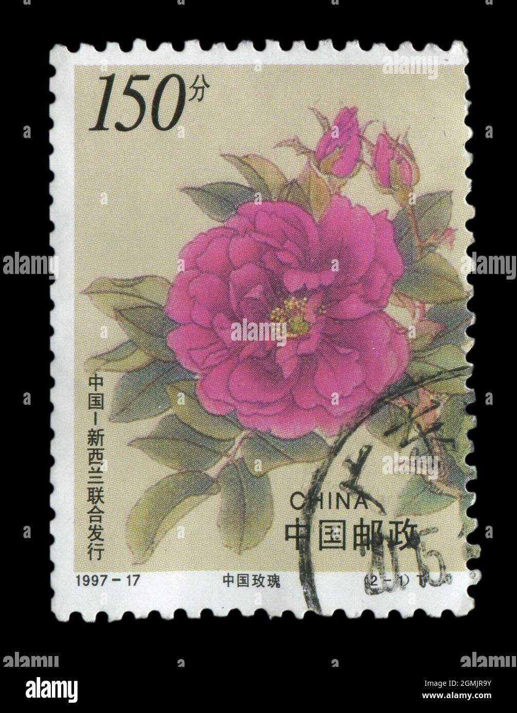 Die in China gedruckte Marke zeigt das Bild der 1997-17 Blumen (Gemeinschaftsausgabe mit Neuseeland), um 1997. Stockfoto