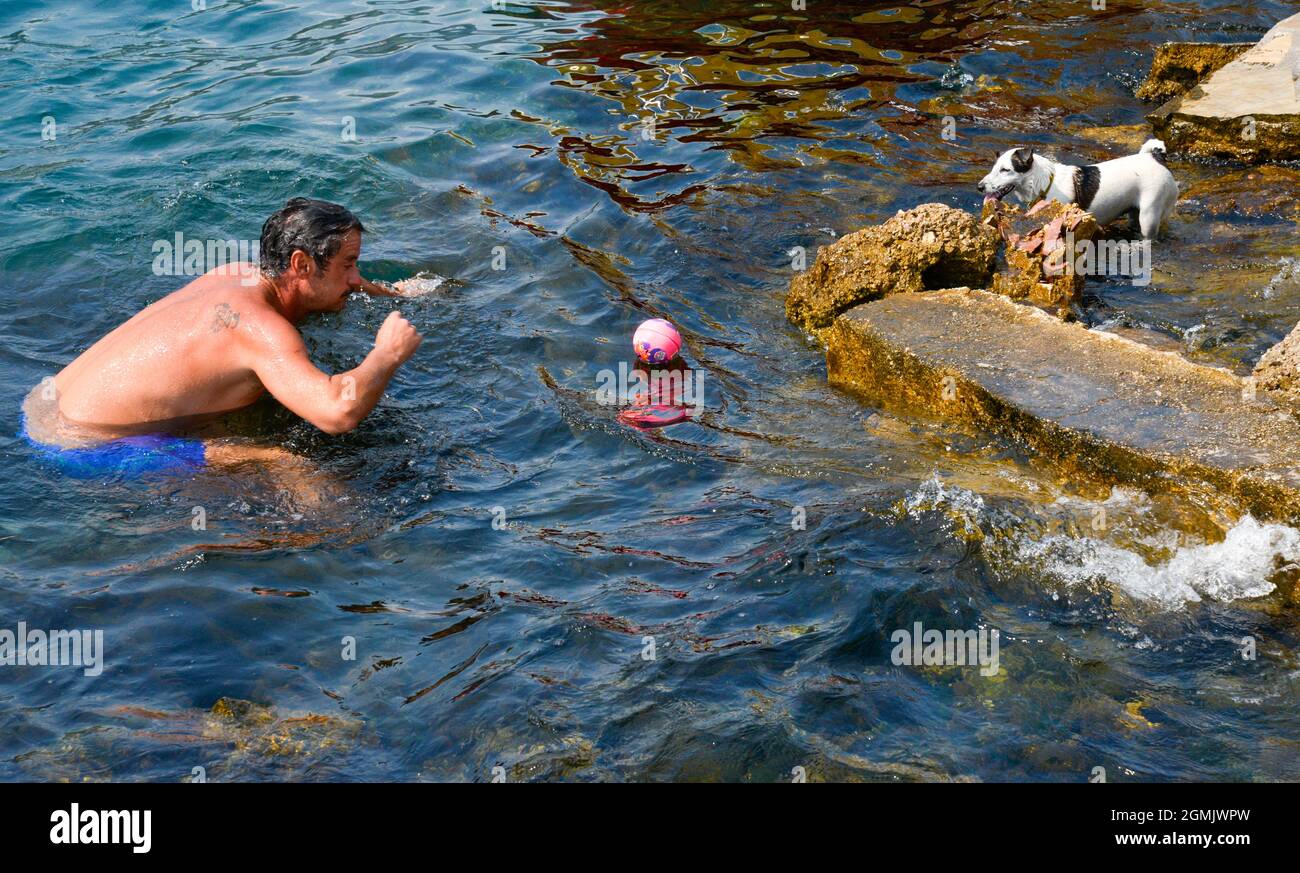 Ein Mann in Badeshorts spielt an einem Sommernachmittag mit seinem kleinen Hund mit einer Plastikkugel im Meerwasser. Stockfoto