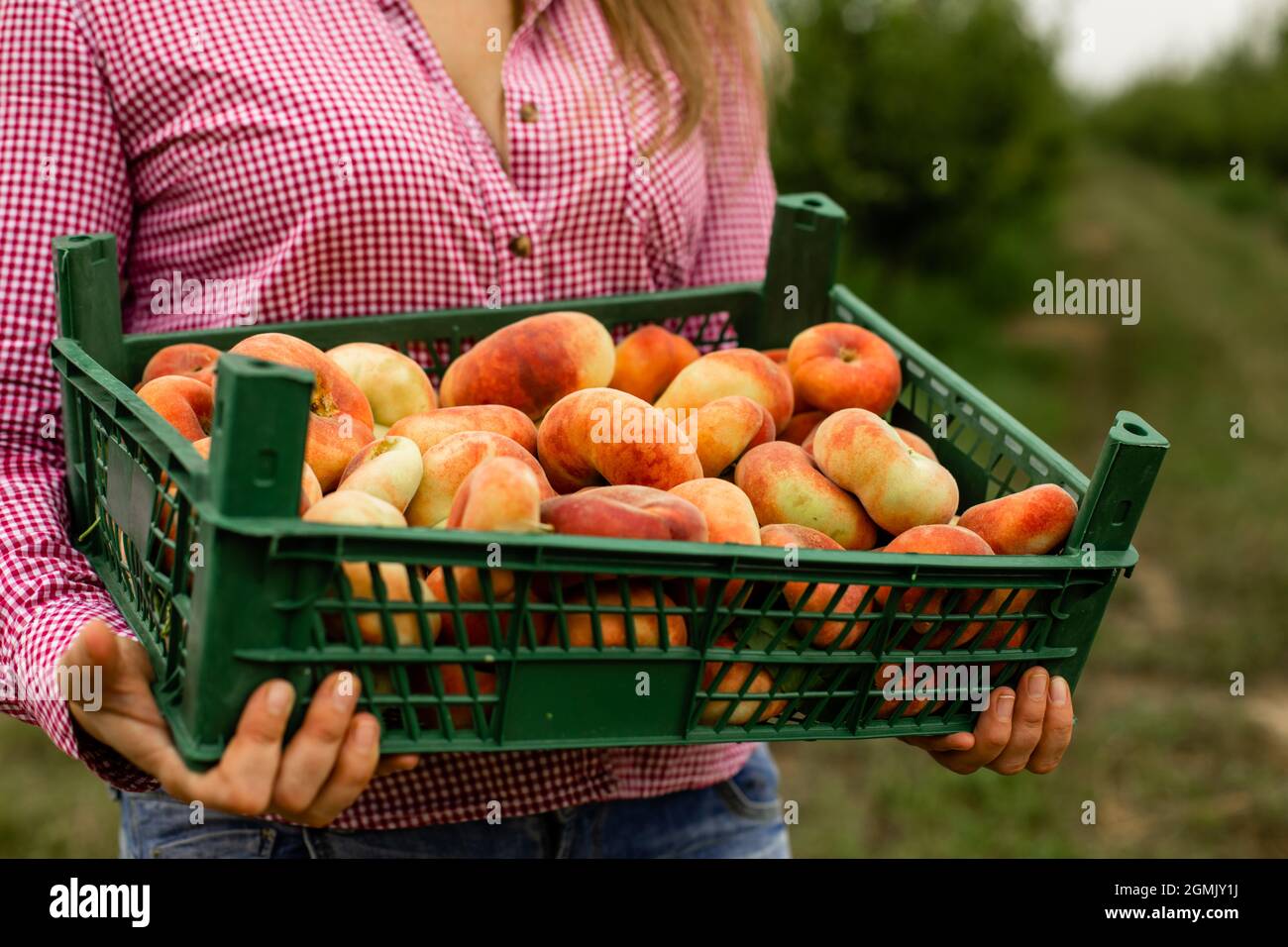 Junge Frau, die frisches Obst auf einem lokalen Bauernhof kauft Stockfoto