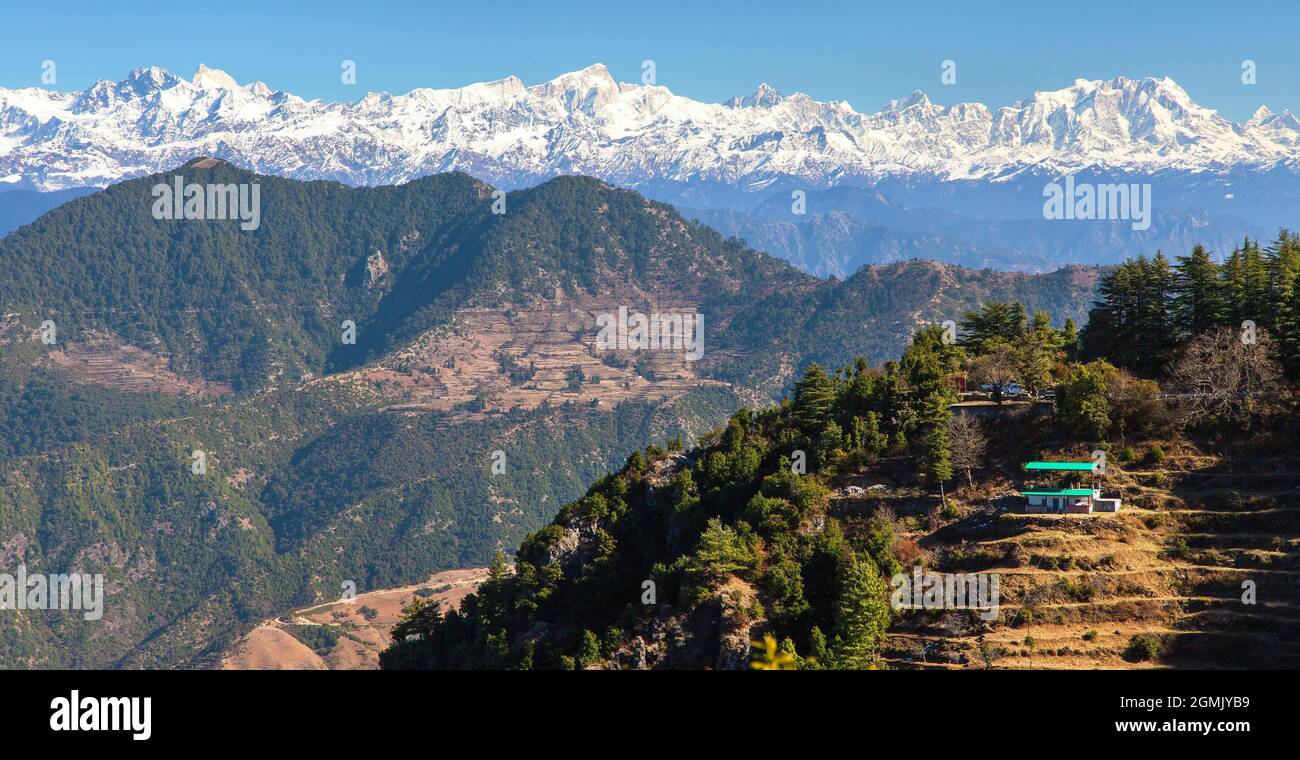 Mount Chaukhamba und Wald, Himalaya, Panoramablick auf die indischen Himalaya-Berge, große Himalaya-Range, Uttarakhand Indien, Gangotri Range Stockfoto