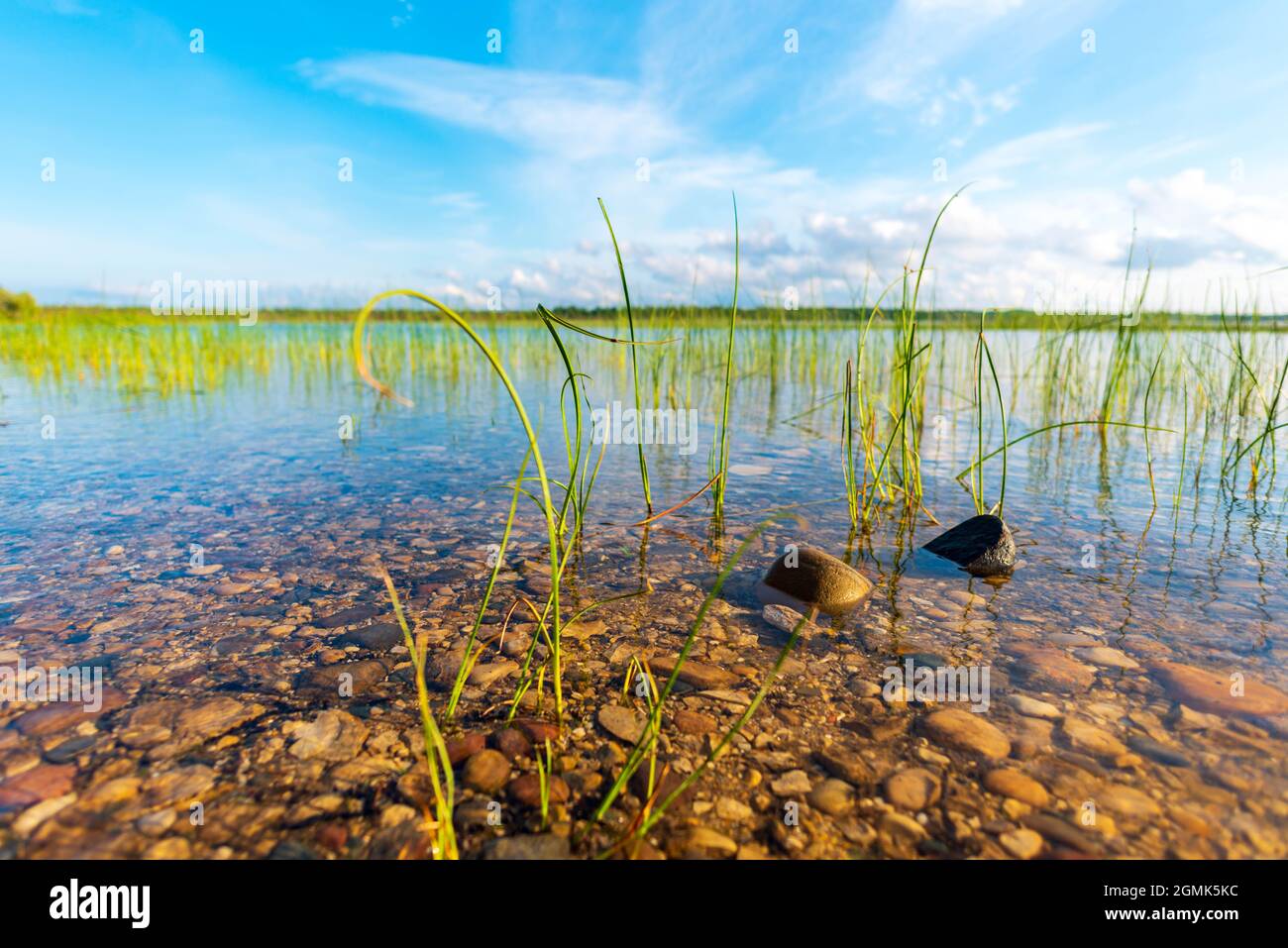 Schönes Seeufer der Duncan Bay im Cheboygan State Park im Norden von Michigan. Stockfoto