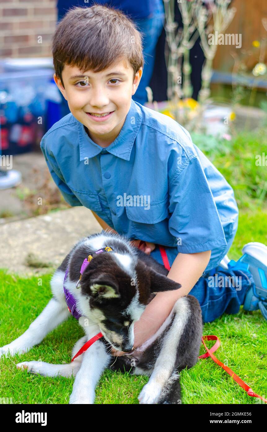 Ein Junge spielt mit einem Welpen, der eine Husky-Kreuzung draußen in einem Garten ist Stockfoto